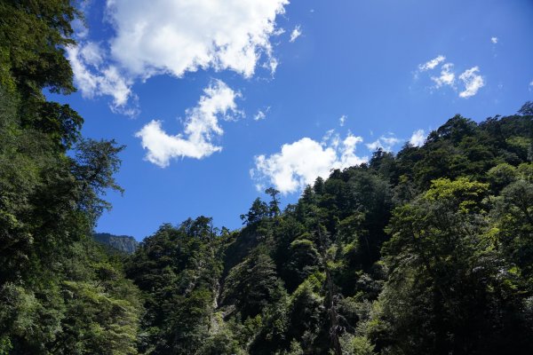 南橫三星 | 前緣再續。關山風月登庫哈諾辛、塔關山順訪中之關。1780113