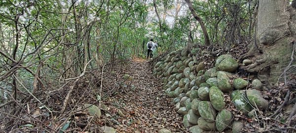 2024/12/28-蓮華山古道群：飛龍步道、進香古道、採茶古道、載熙古道2678887