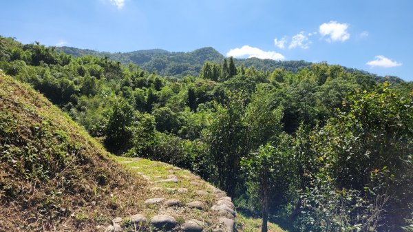 直潭山，二龍山，屈尺古道，小粗坑綠廊，西坑林道，千島湖，鬼子瀬尖山（大尾山），雷公埤1862517