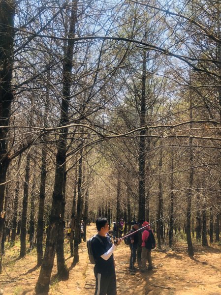 1090413中之關天池-初嚐梅子雞940902