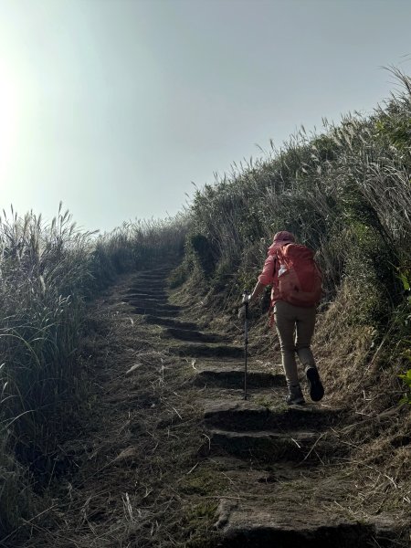 二子坪步道 經遊憩區 上面天山 202511082935050