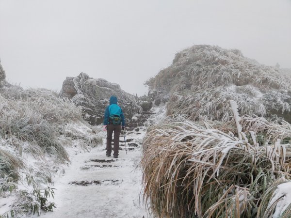 真假！七星山下雪封面