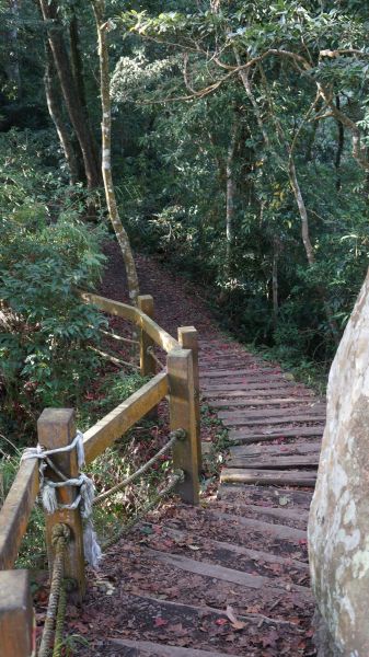 馬那邦山之楓222165