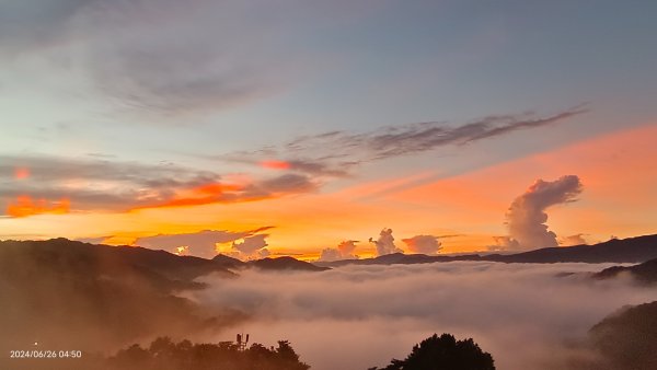 坪林趴趴走追雲趣 - 日出火燒雲雲海&觀音圈6/26 & 302535231