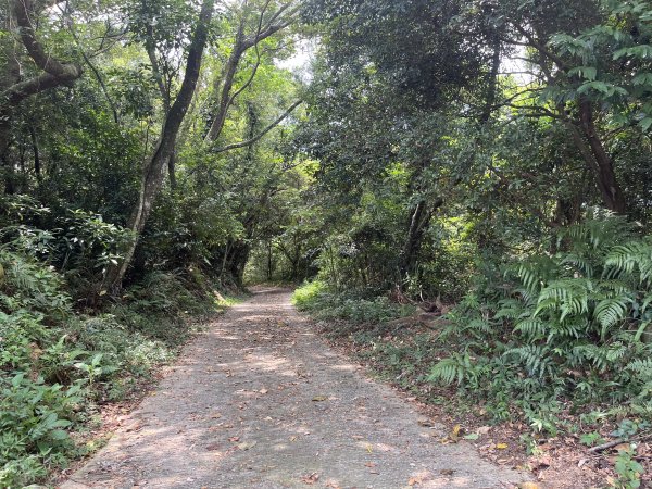 [皮皮獅Hike客任務-02/10] 2024_0720 渡南古道+飛鳳古道2557079