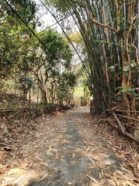 小百岳No.74⛰大崗山3025120