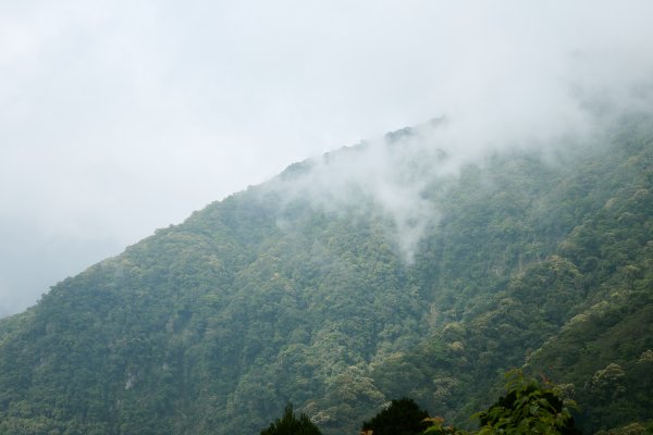 兩日立霧山觀景台(日出行程)2114817