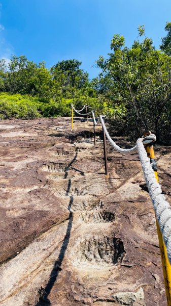 金面山親山步道2867835