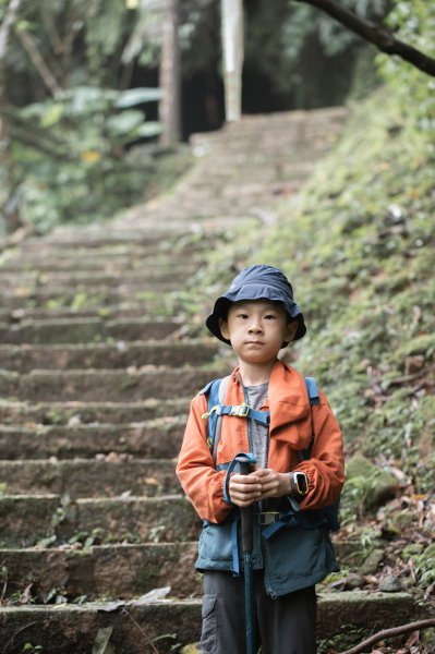 傳說中的「魔神仔洞」| 菁桐古道（汐止段＆平溪段）2721263