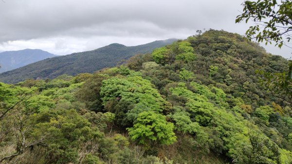 衣丁山單攻初體驗2025年3月30日2749856