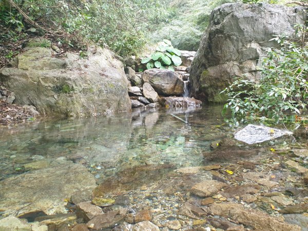 麗陽上屋我尾山2683115