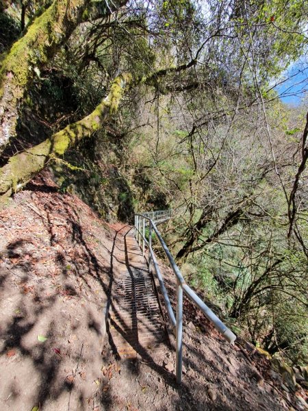 【阿里山】石山引水道1585579