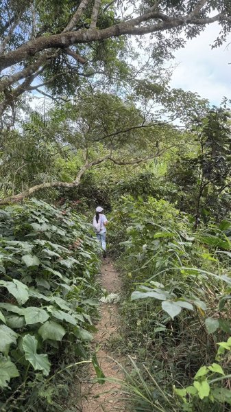 20251025 小百岳竹子尖山及刣牛湖山2925012