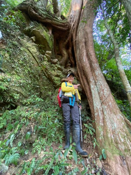 雙鳥縱走+那結山1312818