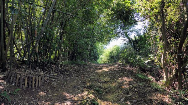 拳山古道,土地公嶺古道,中埔山古道,文山森林公園2578161