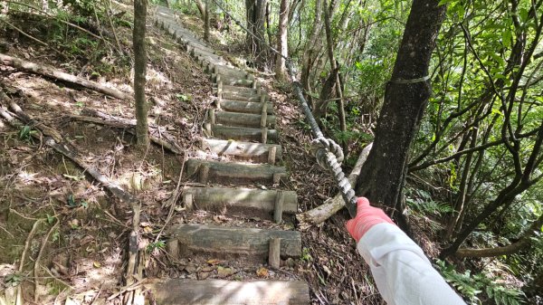 平湖西步道.內平林山.大坑山.平湖東步道O走全紀錄3094128