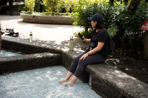 八仙山森林步道2865247