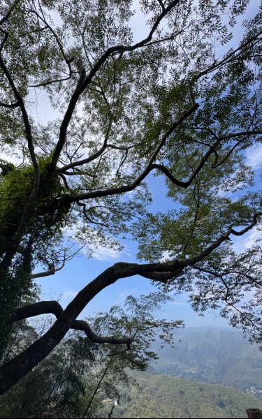 鳳凰谷步道走凍頂麒麟山2772739