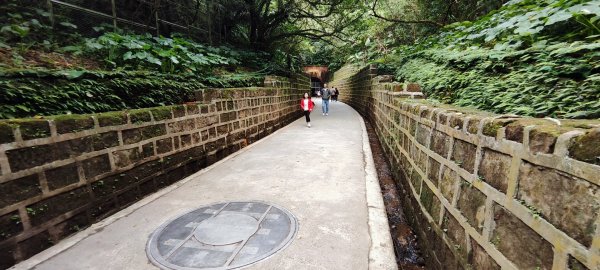 基隆．獅球嶺步道202601172994183