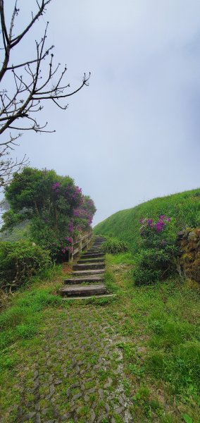 2023-04-28太麻里金針山步道2137007