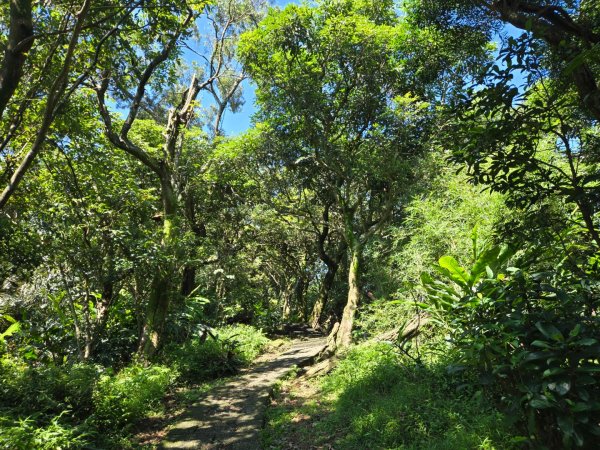火焰山、天上山（小百岳）O繞3076305