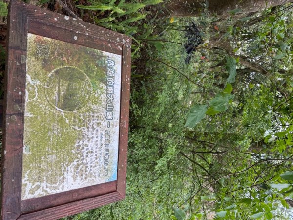 2025/04/13 小百岳第008「大崙頭山」2760273