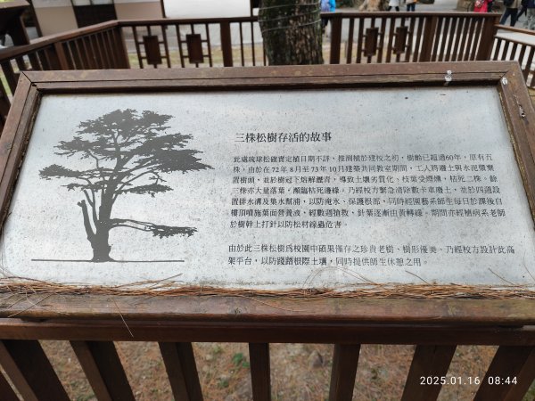 4-1 國立臺灣大學校園巡禮2691875