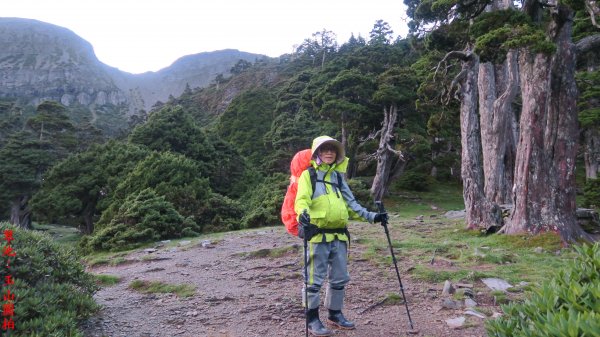 雪山西稜縱走（雪山→大雪山森林遊樂區）六日行