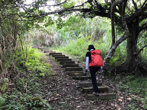 花蓮月眉山步道392209