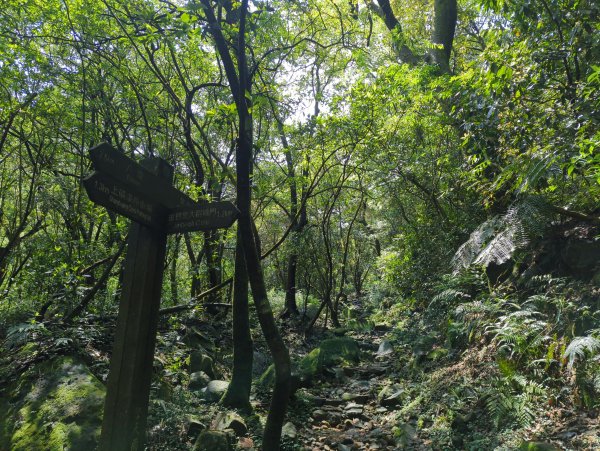 2025.04.27－金包里大路~小油坑縱走2770899