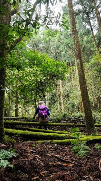 112.04.08 油羅山2123575