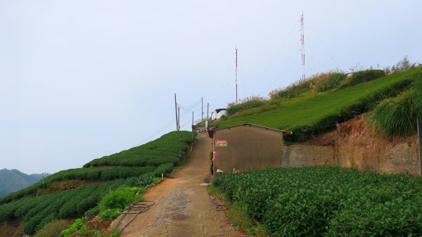 雲嘉五連峰2948636