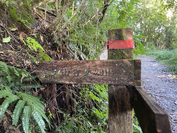 20250713-Ep.10李崠山步道-2025森遊竹縣皮皮獅探險隊2851955