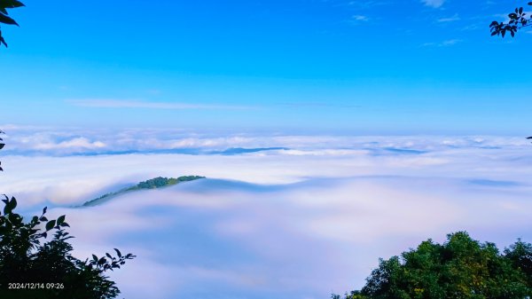 二訪馬拉邦山，解鎖 #琉璃光雲海 #日出雲海  #血月 #斜射光 #楓葉紅了！2668587