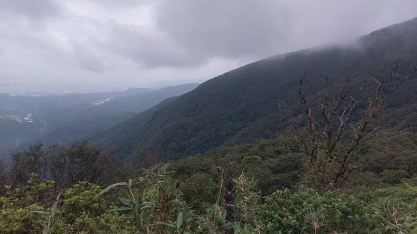 2018.06 聖母登山步道續攻三角崙山355197