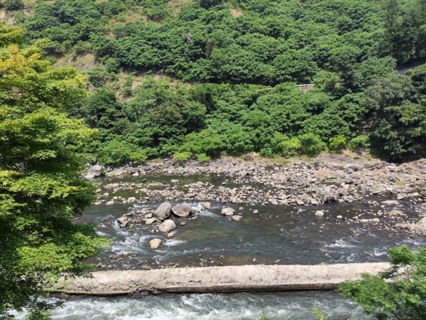 嵐山火之篇：嵐山小火車3088746
