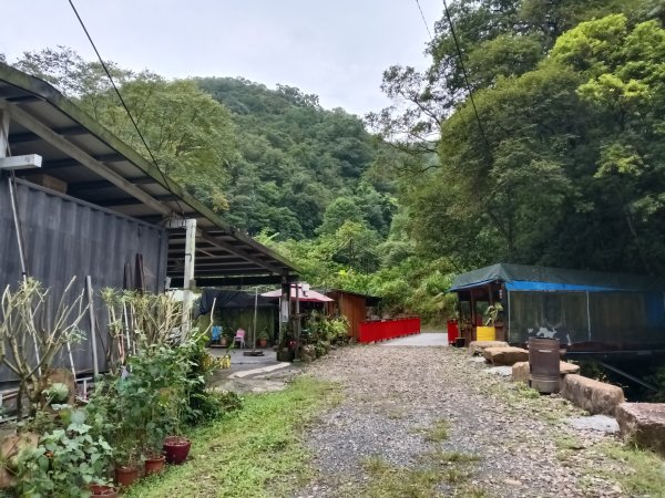 雙溪區中坑古道+大夯瀑布+中坑東山+中坑東山尾稜O型2921510