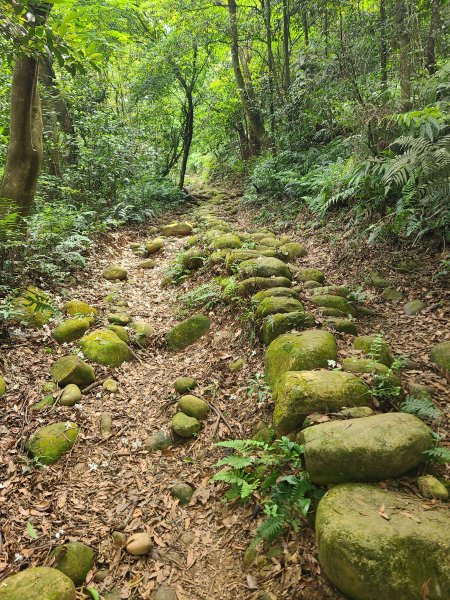 挑炭古道(三通嶺古道)+慈濟山步道2780436