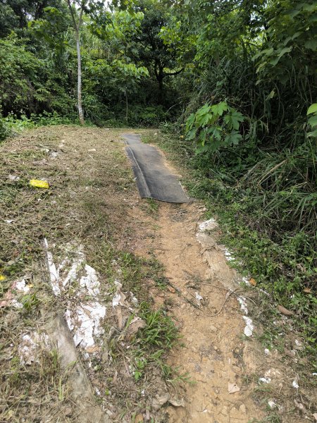 20250809樹迴縱走2855052