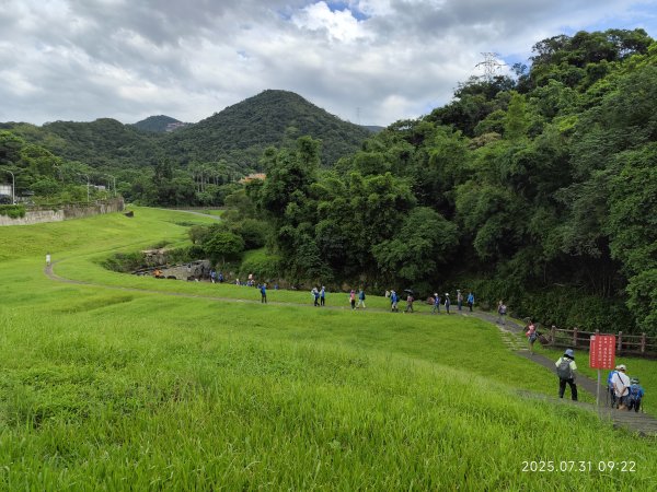 大湖公園→大溝溪生態治水園區→圓覺寺步道→圓覺瀑布→圓覺寺→鯉魚山步道【臺北大縱走 4、臺北健走趣】2849077