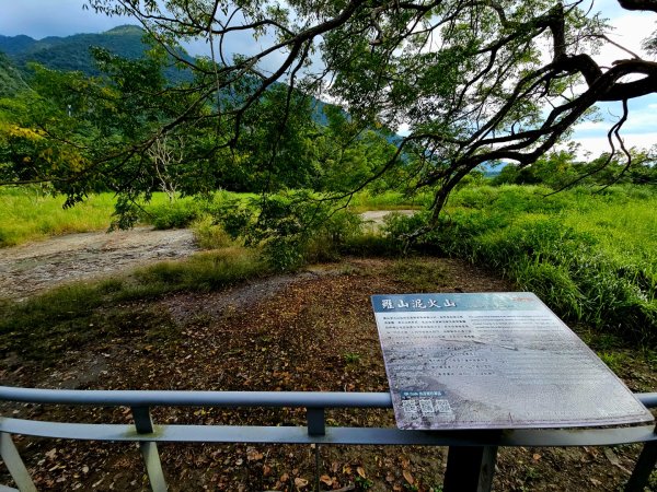 羅山村竹林步道-2025漫遊縱谷愛在花東-花蓮縣富里鄉2916729