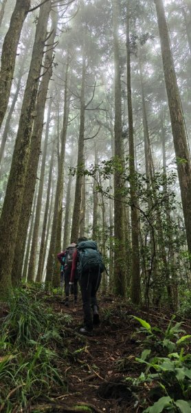 縱走大鳥鵝2828400