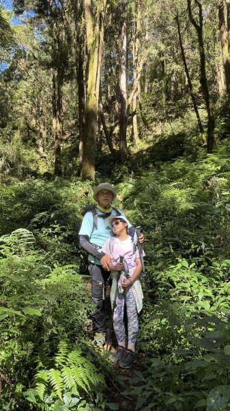 20251005小百岳金柑樹山2906977