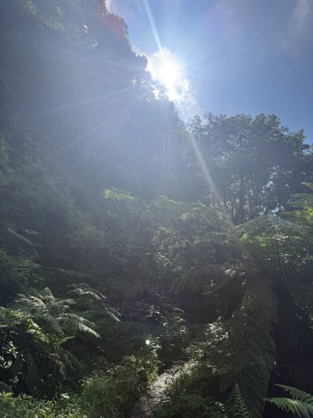 91北大武山（至檜谷山莊）115.10.043128648