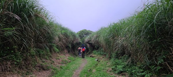 冷擎魚路古道1067052