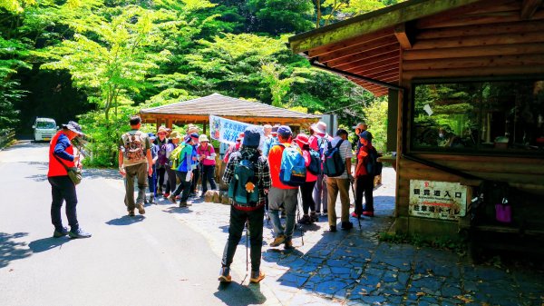 南九州－屋久島白谷雲水峽3063309