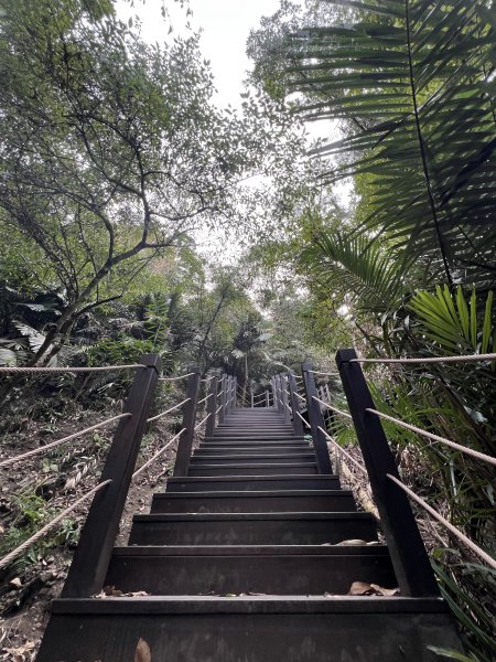 雪山坑環線步道3023318