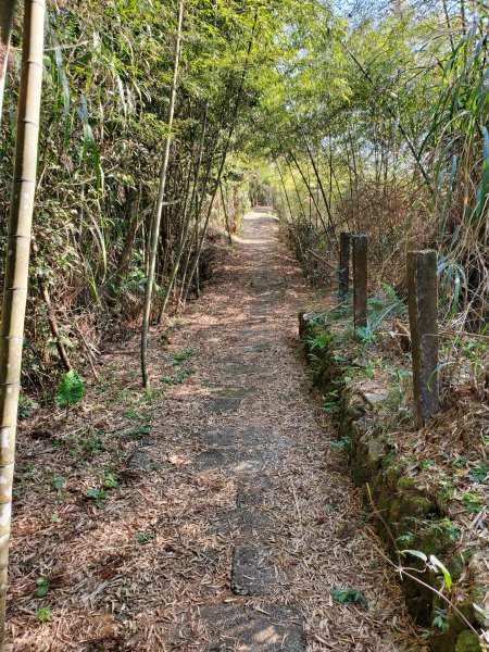 勇闖雲嘉五連峰821318