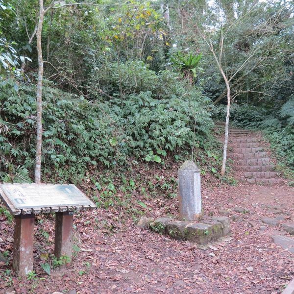 馬那邦山(珠湖線來回)375033