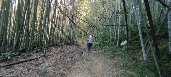 2024/10/12_志繼山步道2622621